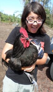 Unplugging to Reconnect: A Journey Toward Full-Time Homesteading — Finances, Part 4 Image